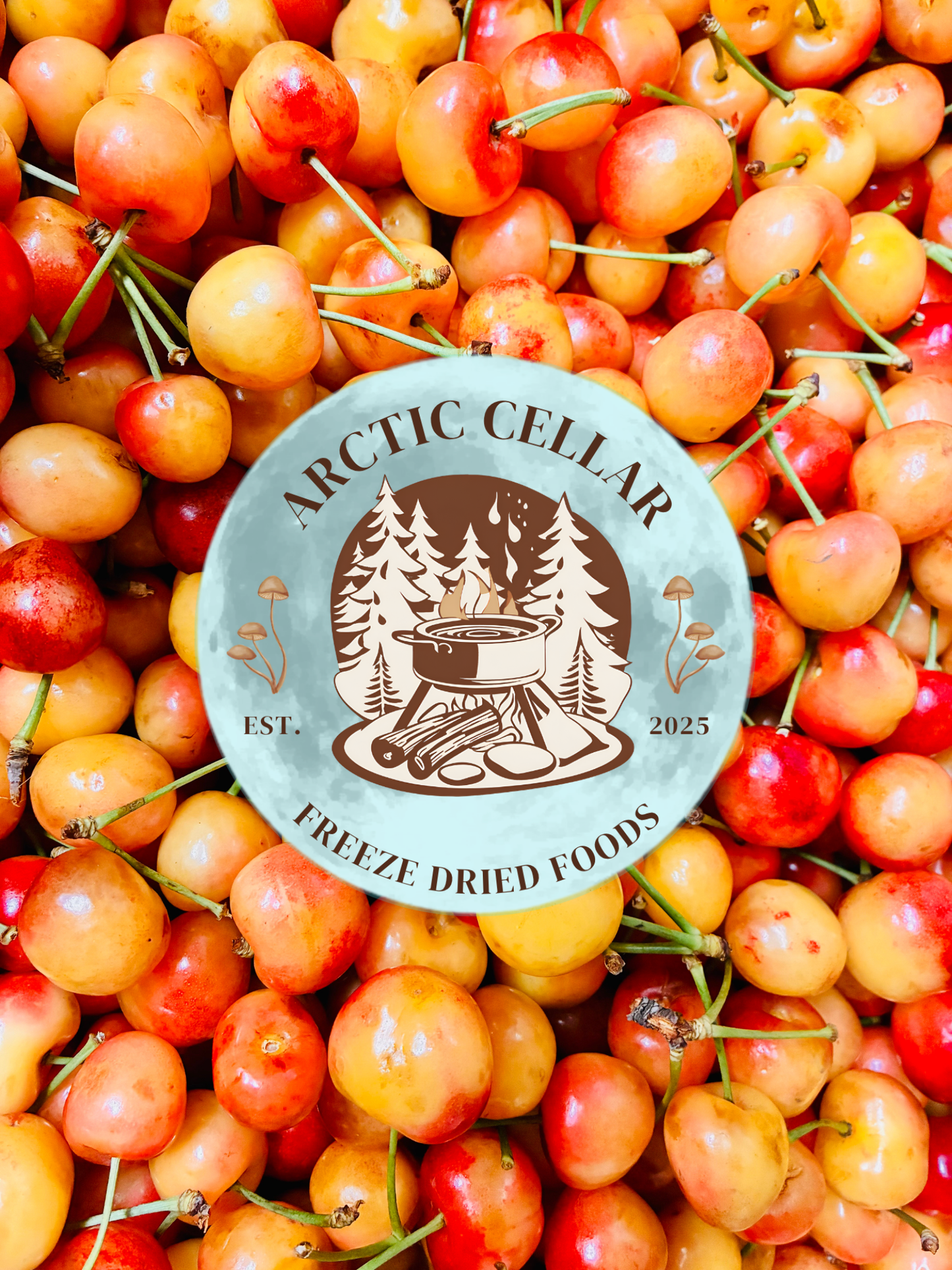Rainier Cherries - Halved & Pitted