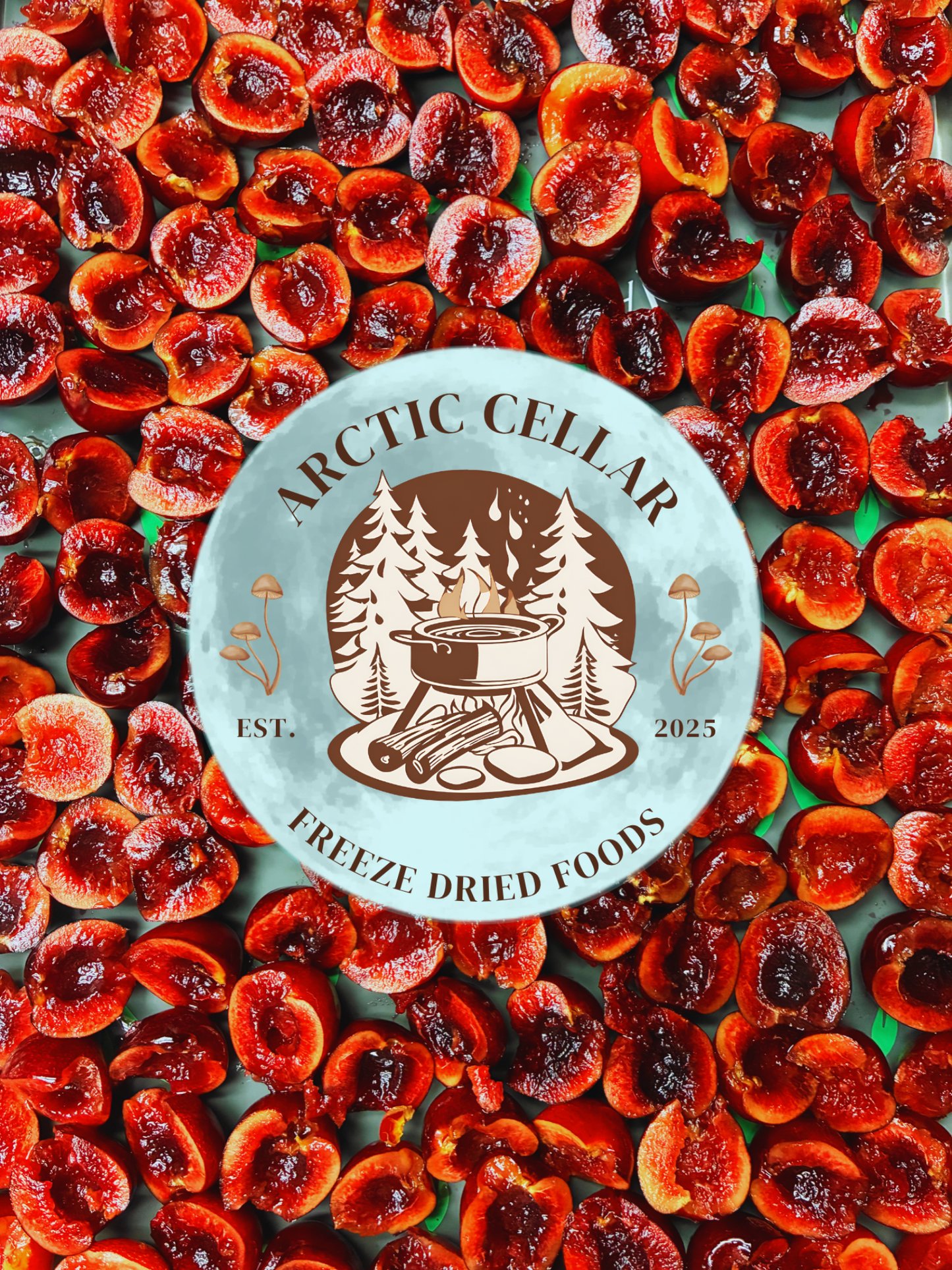 Bing Cherries - Halved & Pitted (3oz)